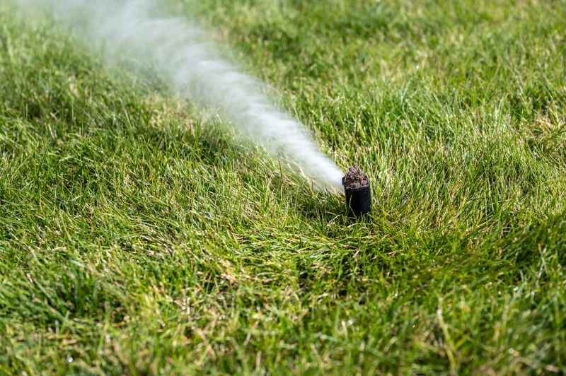 Top Rated Sprinkler Winterization Products