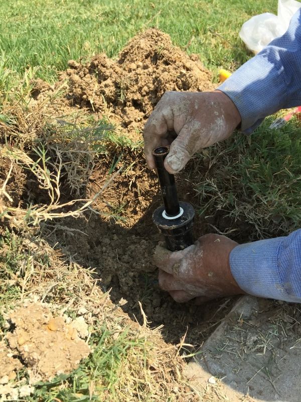 Sprinkler Head Repair in Honolulu, HI