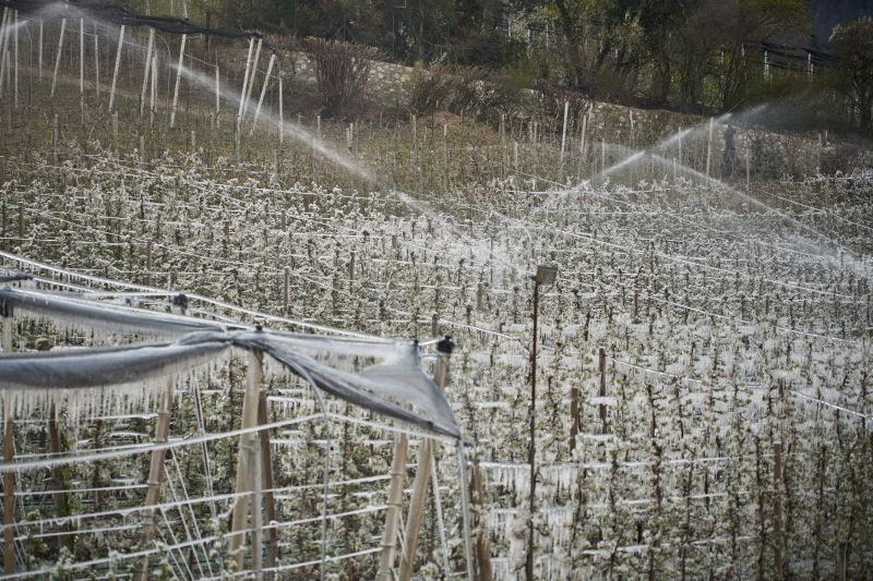 Sprinkler Winterization Costs — Cost of Sprinkler Winterization